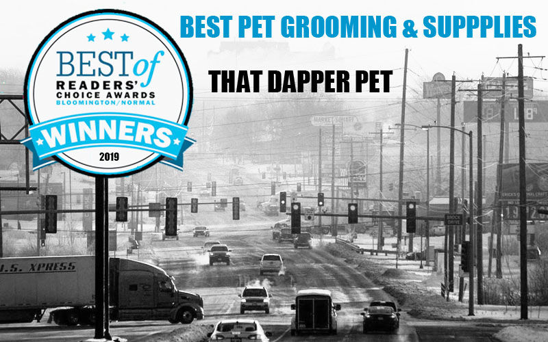 Best Pet Grooming & Supplies